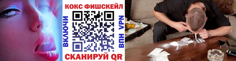 Кокаин FishScale как найти наркотики Ершов