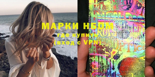 индика Горняк