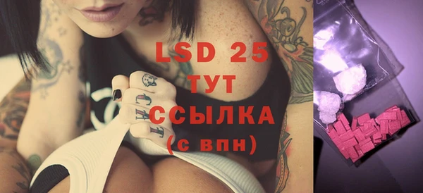 ГАЛЛЮЦИНОГЕННЫЕ ГРИБЫ Вязники