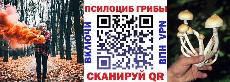 купить наркотик  Ершов  Псилоцибиновые грибы прущие грибы 